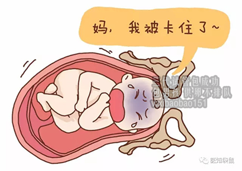 中国哪里可以做供卵试管_武汉代孕公司中介,广医三院有精子库吗